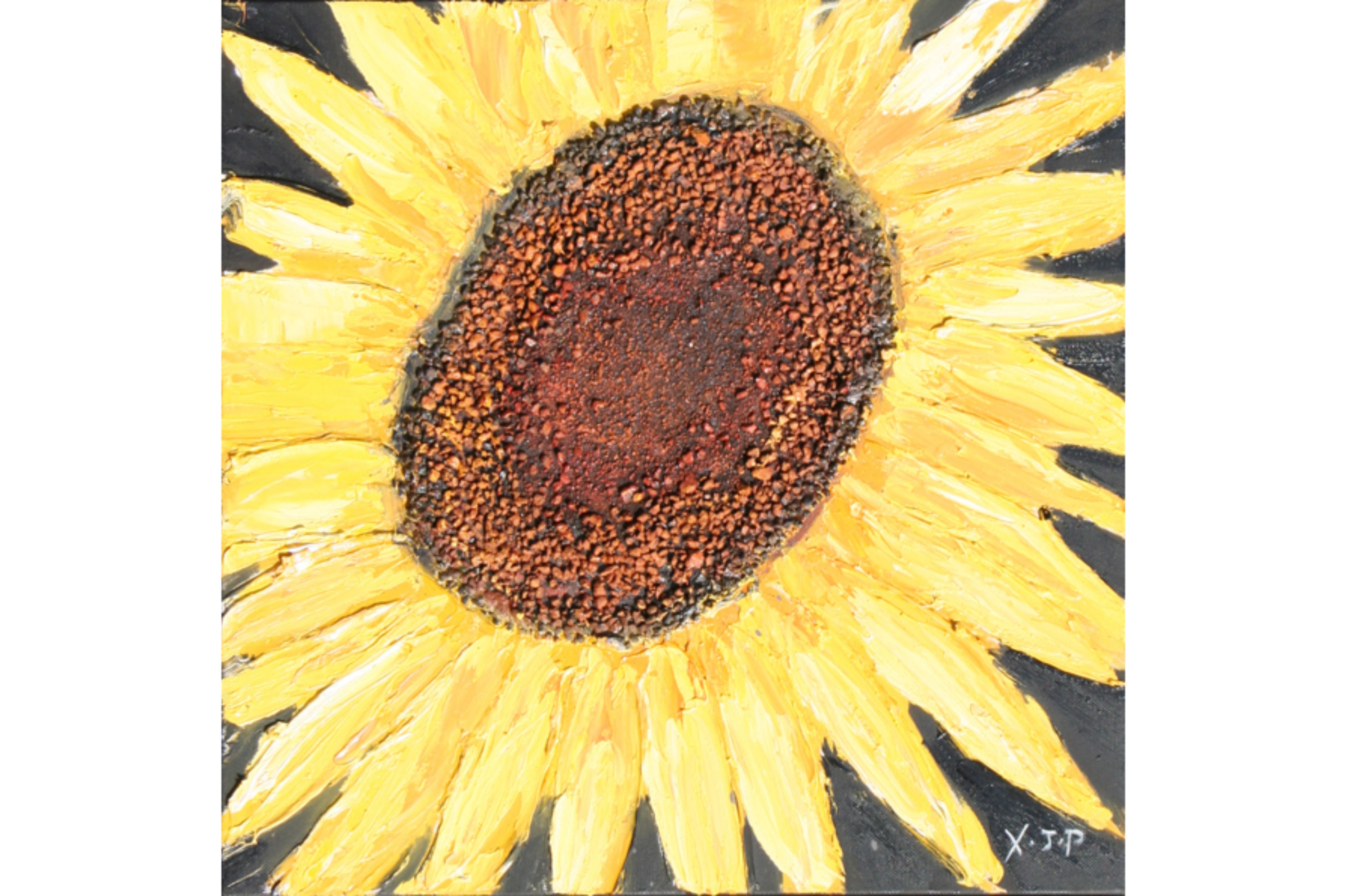Tablou pictat manual Floarea Soarelui A, 40x40cm