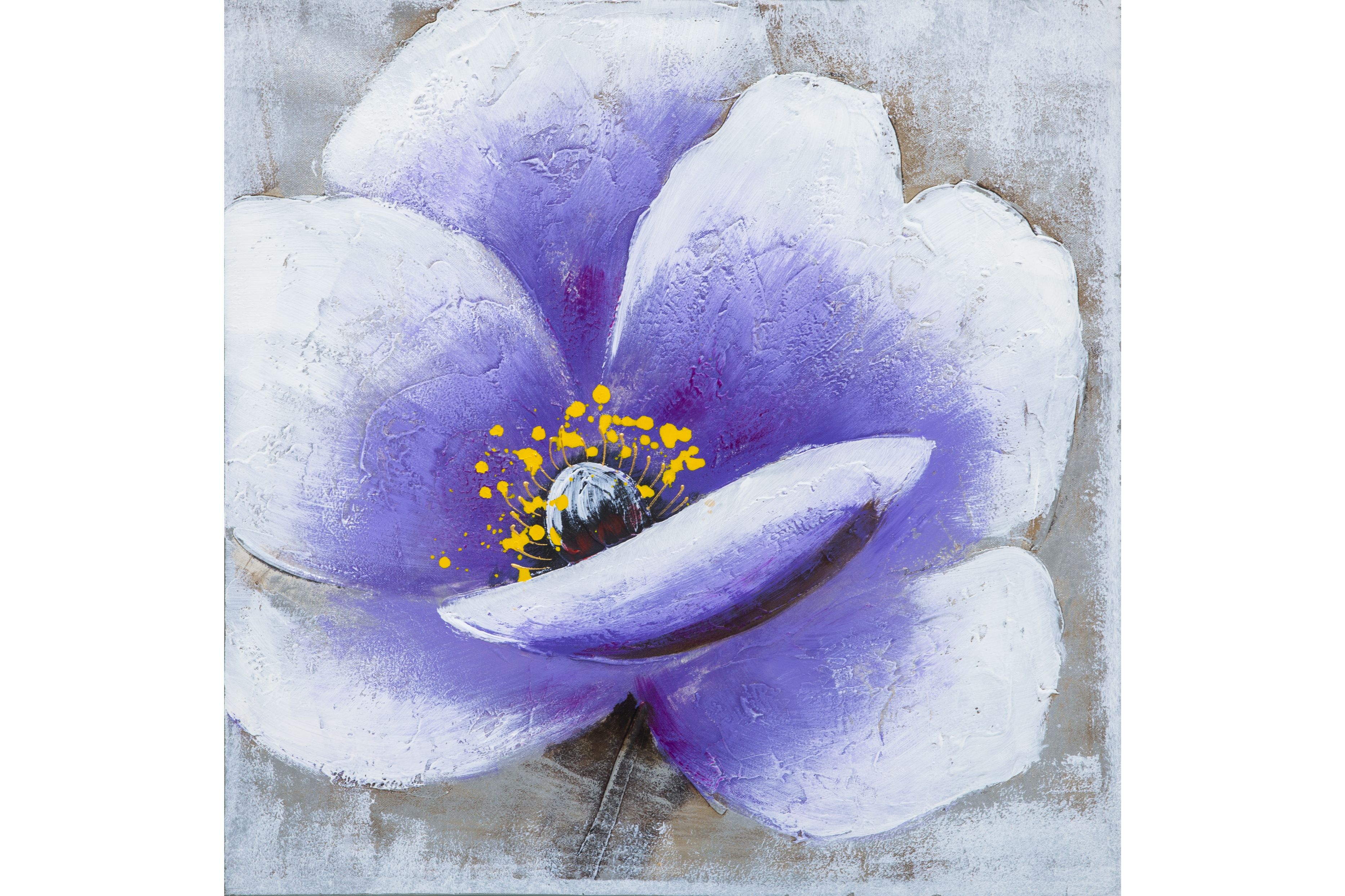 Tablou, Petunia  60x60cm