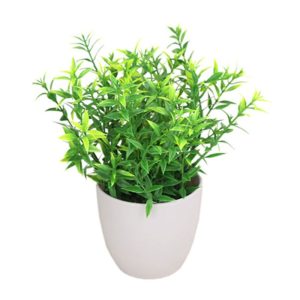 Ghiveci decor GREENNERY 10x24 cm, frunza ascutita