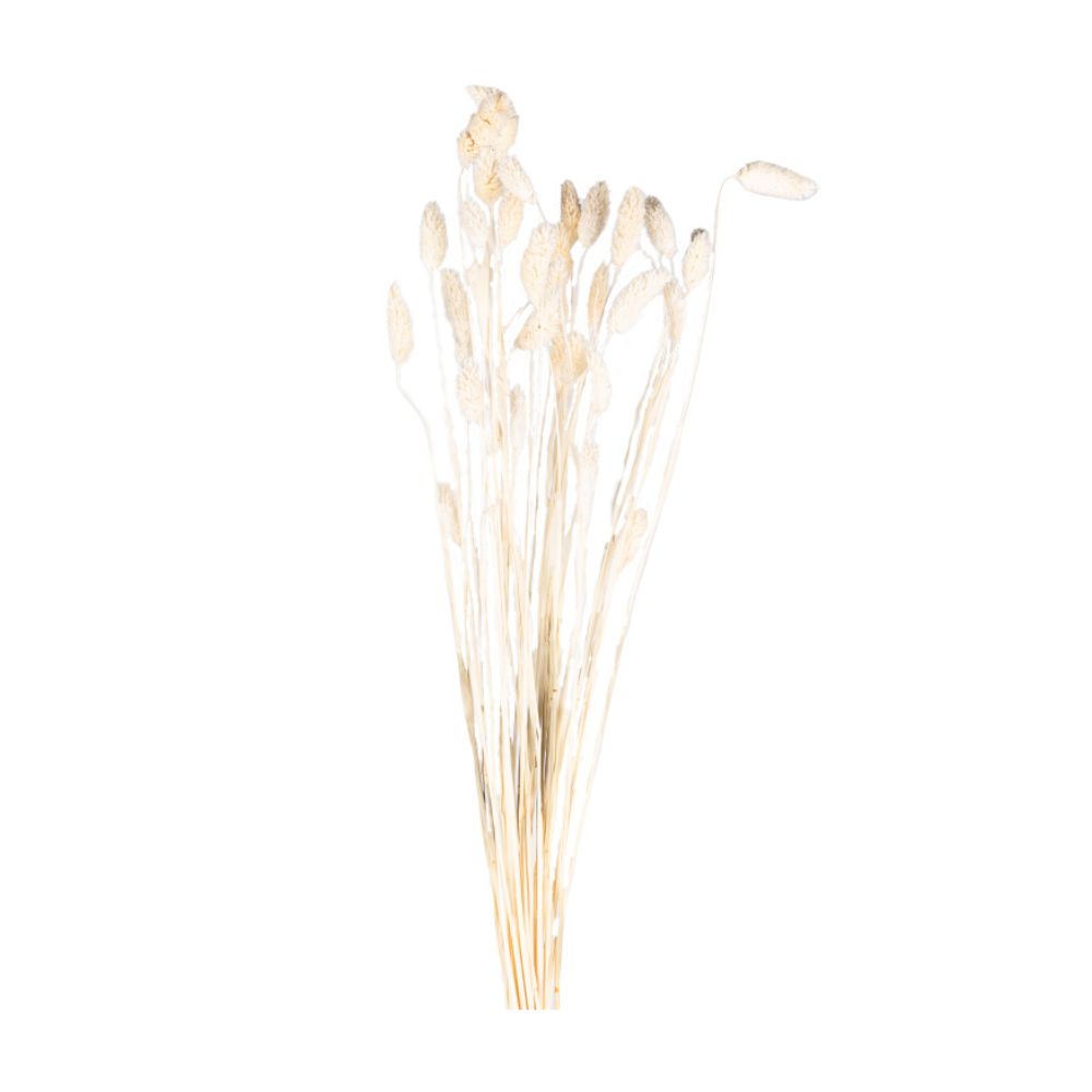 190-2114153__1 190-2114153__1