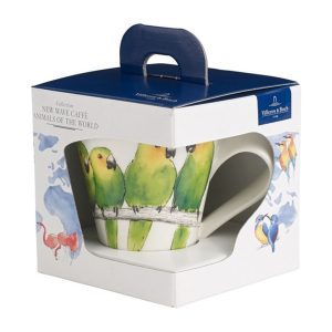 Cana NEW WAVE- BROWNTHROATED CONURE